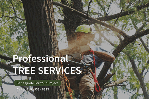 LUCKY TREE SERVICE